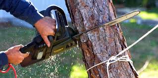 Leaf Removal in West Wareham, MA