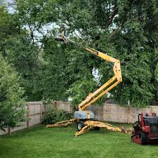 Best Hazardous Tree Removal  in West Wareham, MA